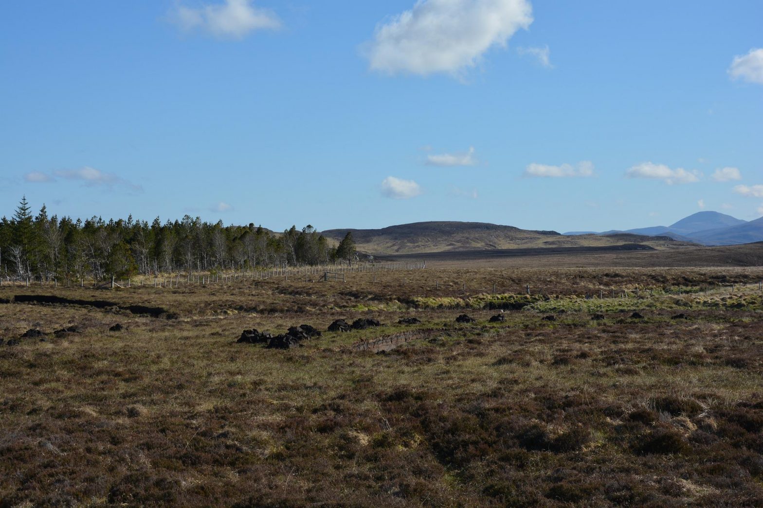 wide shot of blue sky and peatland filling the foreground up to the horizon